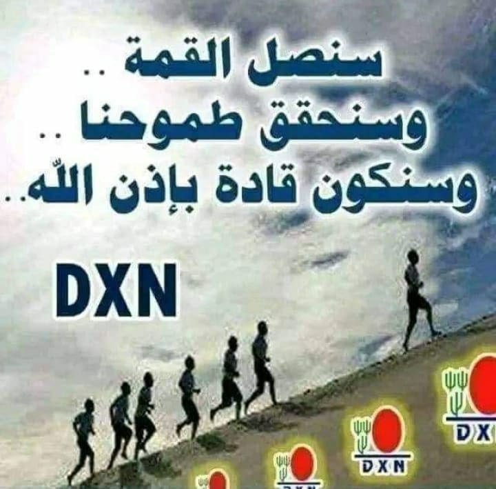 Wael dxn