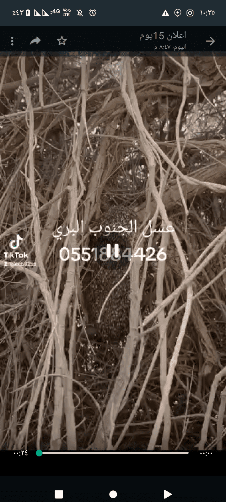 عسل