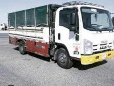 ارقام دينات بالمدينه المنوره 0574608651 نقل عفش