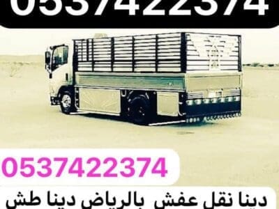 دينا نقل عفش اثاث من الرياض الى جازان ابهاء 0537422374