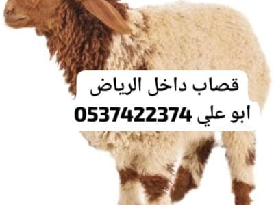 قصاب داخل الرياض 0537422374 جزار زباح بالرياض