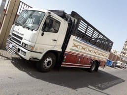 دينا طش الاثاث القديم بالرياض 0َ551756769