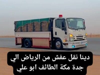 دينا نقل عفش حي الورود بالرياض 0537422374