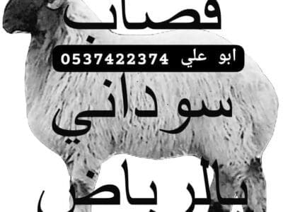 قصاب شرق الرياض 0537422374 جزار ماهر