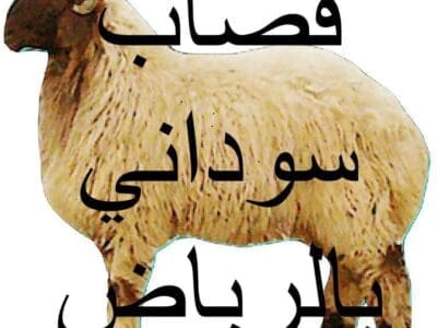 جزار ماهر بالرياض 0508857593