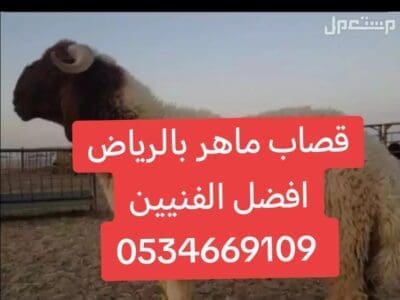 قصاب ماهر بالرياض 0534669109