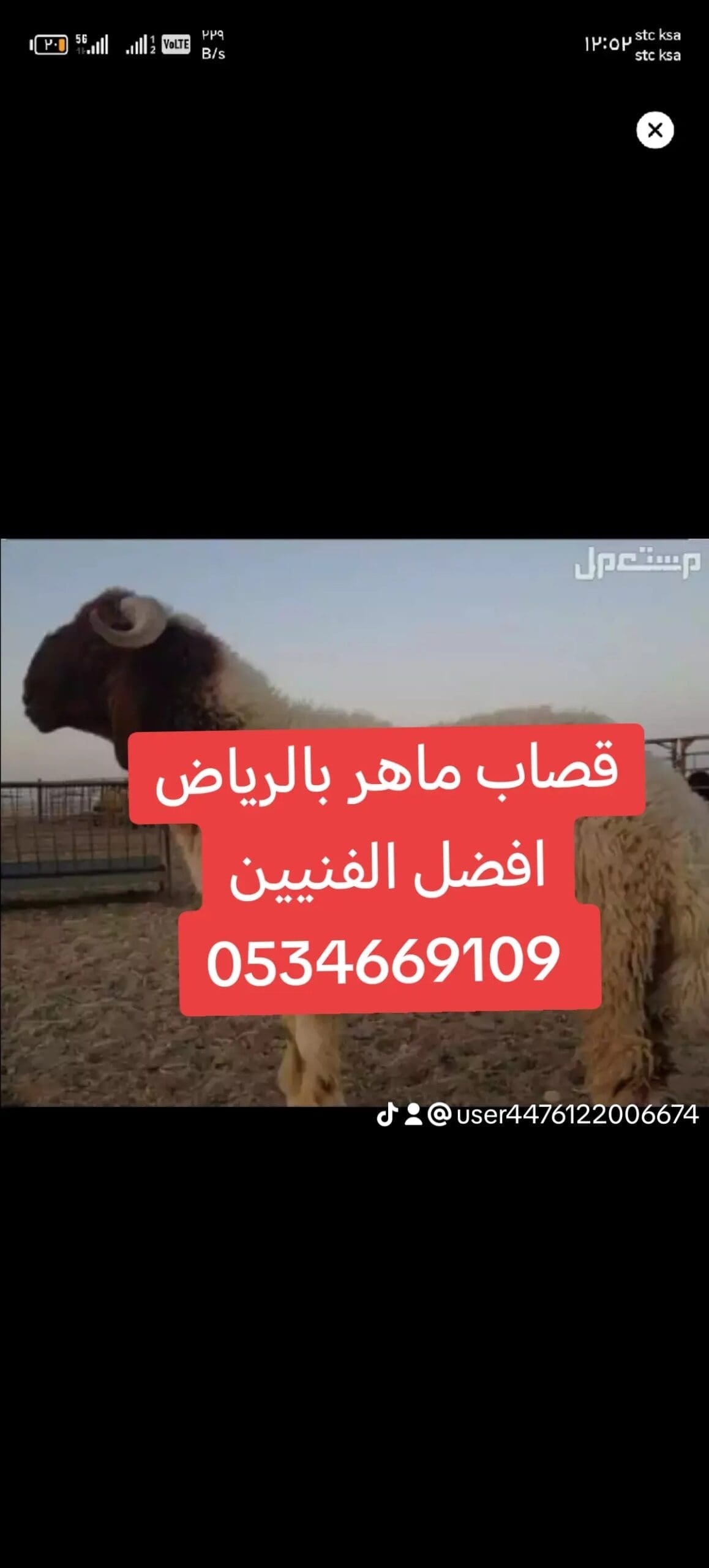قصاب ماهر حي المونسية 0534669109