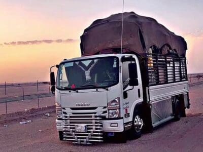 دينا التخلص من الاثاث القديم شمال الرياض 0503483036