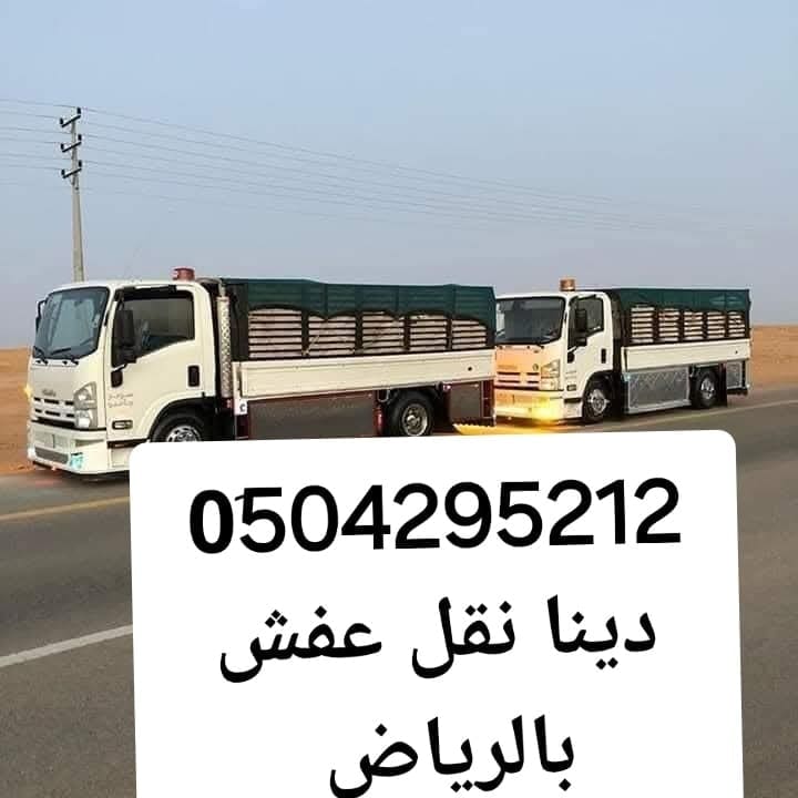 دينا نقل أثاث شرق الرياض