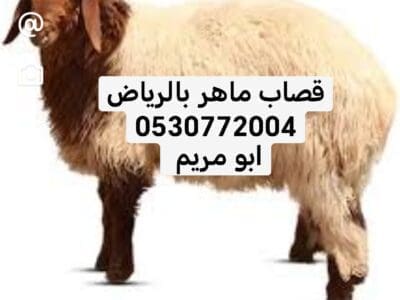 قصاب ماهر بالرياض 0530772004