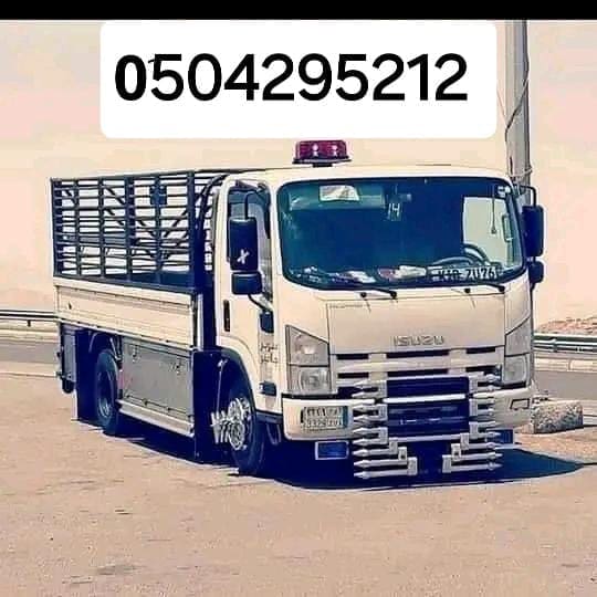 دينا نقل عفش حي العزيزيه