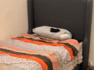 راعي الأثاث المستعمل حي المحمدية 0559803796