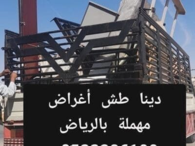 دينا طش الأثاث القديم بالرياض 0510735689