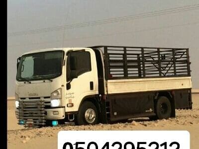 دينا نقل عفش شرق الرياض