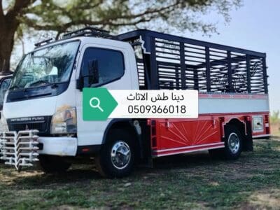 دينا طش الاثاث القديم 0509366018