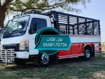 دينا رمى تخلص طش الاثاث القديم 0558170736