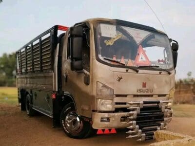 دينا نقل عفش حي الخليج 0َ561346756