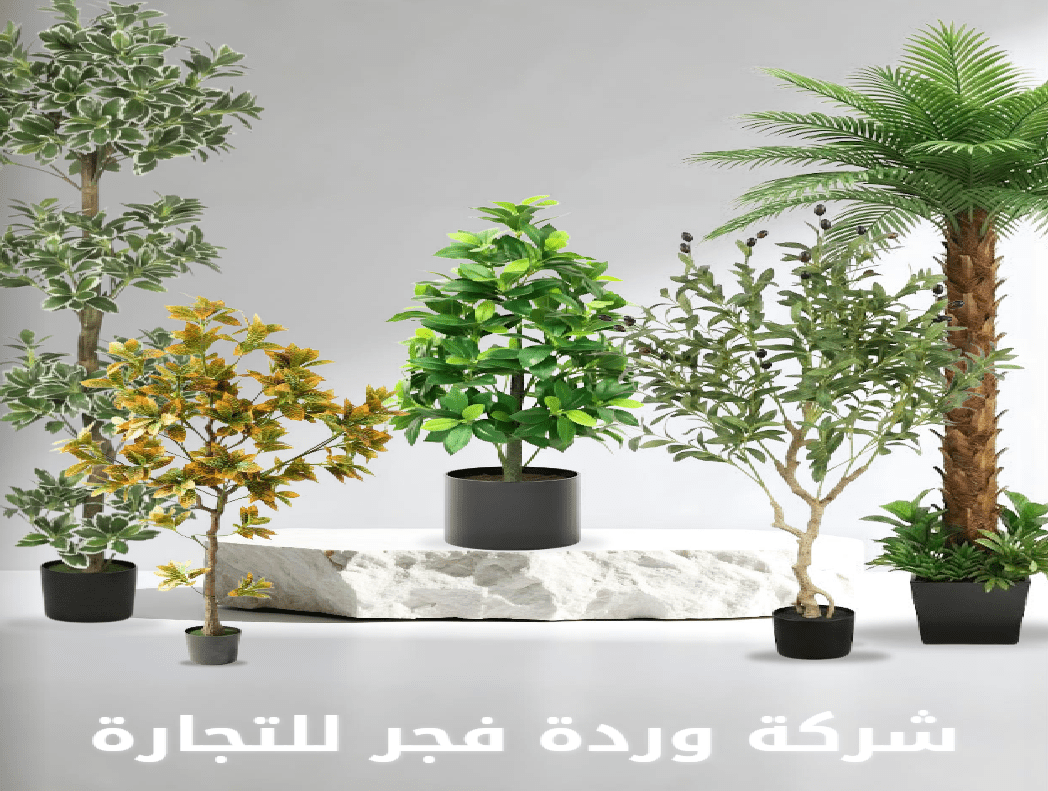 شركة وردة فجر للتجارة: