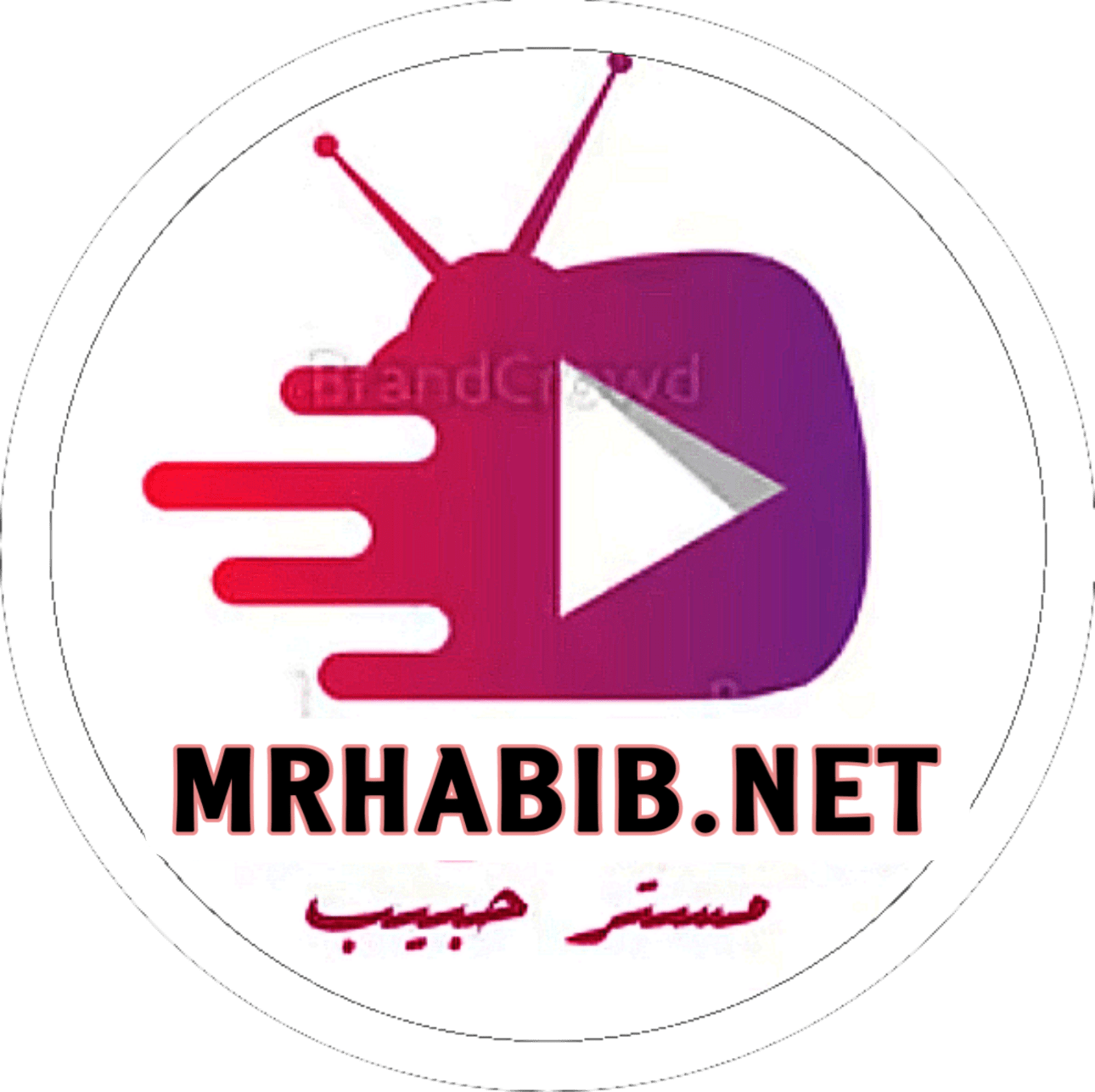 مستر حبيب