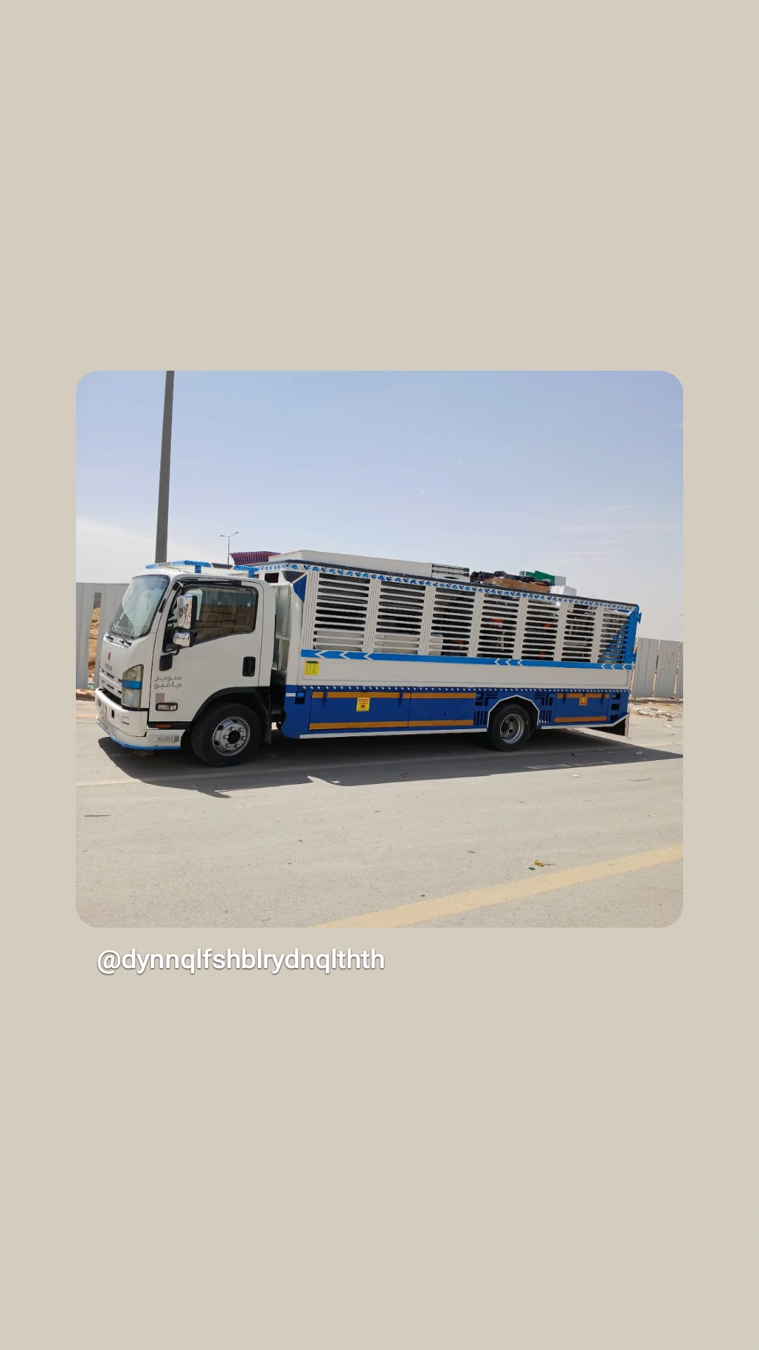 دينا نقل عفش بالرياض