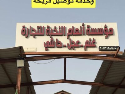 Fresh Eid Sheep & Goats Available// اضاحي عيد الاضحى انعام النخبه