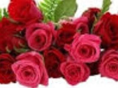 معلم رياضيات